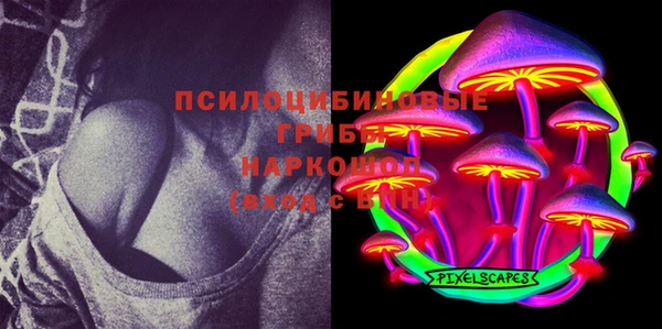 mix Лабытнанги