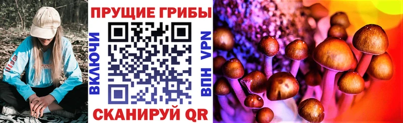 Галлюциногенные грибы мухоморы  Купить  Ачхой-Мартан 